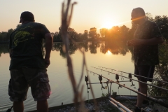 Carpfishing laghetto ai pioppi il tramonto ha il suo fascino