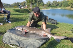 carpfishing coetta storione il secondo della giornata