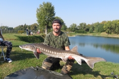 carpfishing coetta storione il secondo della giornata che lungo