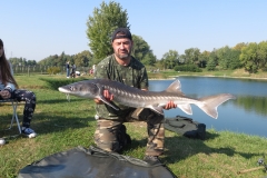 carpfishing coetta storione il secondo della giornata pesa