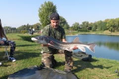 carpfishing coetta storione il secondo della giornata che bello