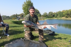 carpfishing coetta storione il secondo della giornata in posa